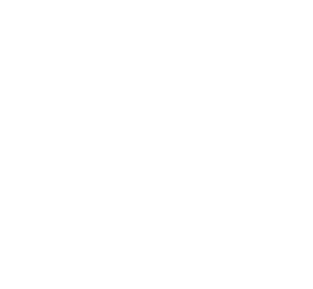 FSQ Sport Disciplined Project Management