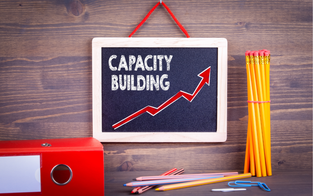 Building Capacity in Youth Sport Organizations