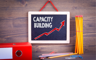 Building Capacity in Youth Sport Organizations