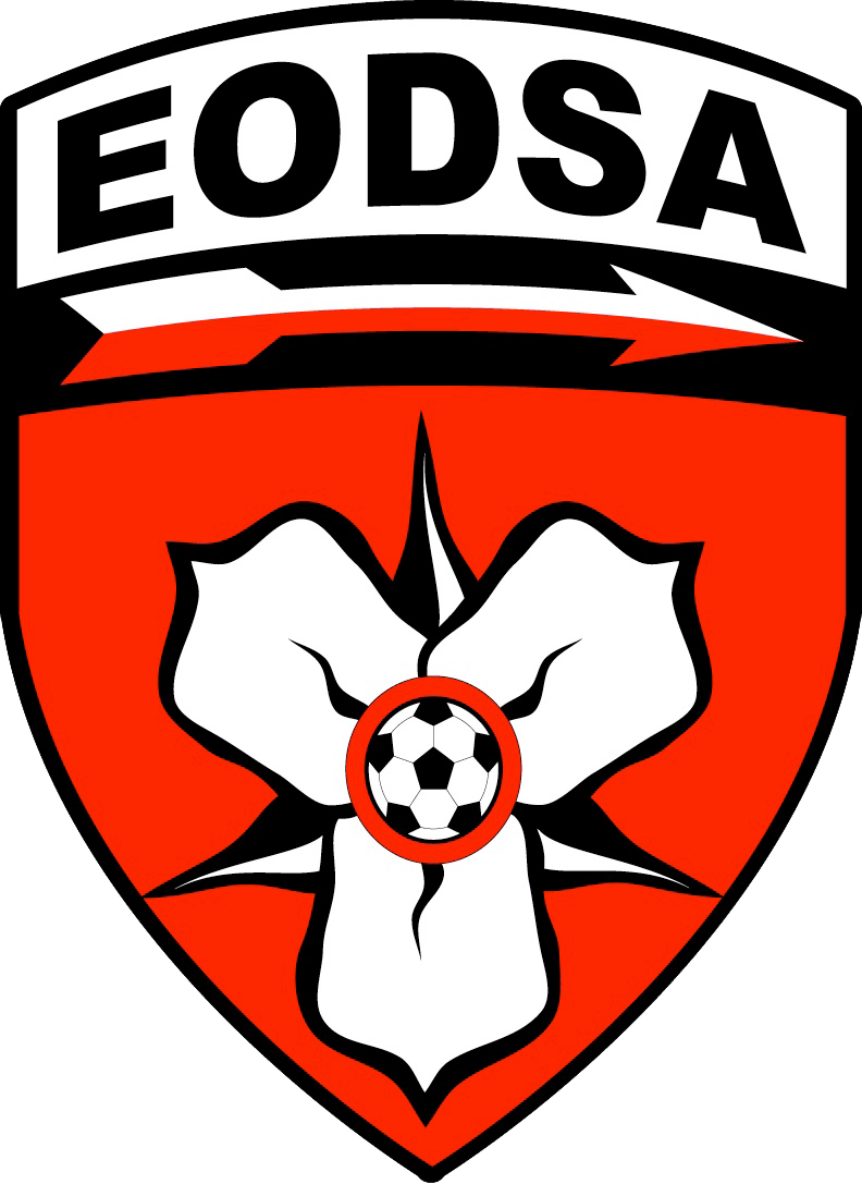 EODSA Logo (1)