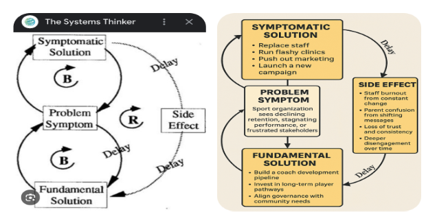 The Systems Thinker